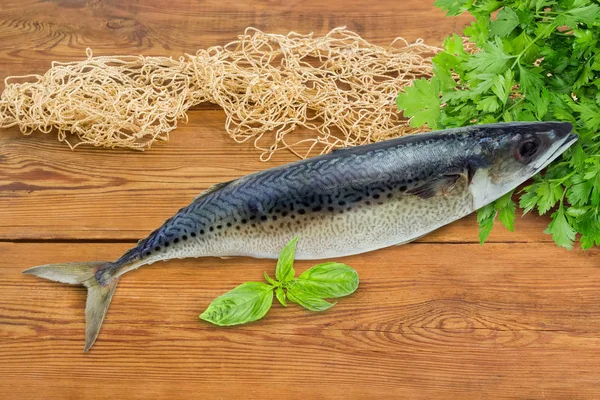 Atlantická tloušť makrely na dřevěný povrch, Rybářská síť — Stock fotografie