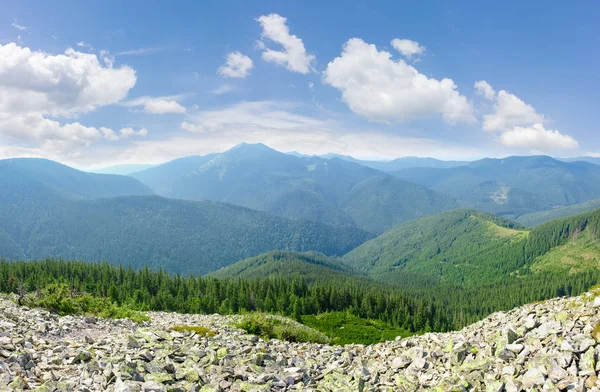 Chaînes de montagnes couvertes de forêts d'épinettes dans les Carpates — Photo