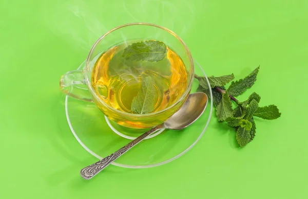 Tea menta, üveg pohár zöld háttér — Stock Fotó