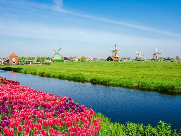 Windmolens in etnografisch openluchtmuseum Zaanse Schans, Nederland — Stockfoto