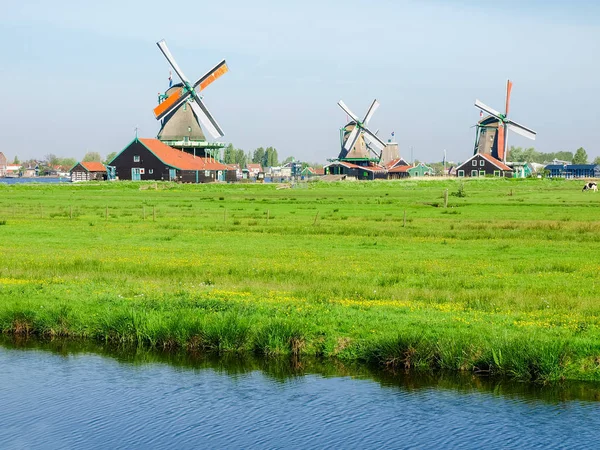 Moinhos de vento no museu etnográfico ao ar livre Zaanse Schans, Países Baixos — Fotografia de Stock