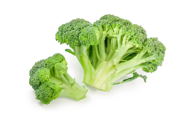 Nyskördade broccoli på vit bakgrund — Stockfoto