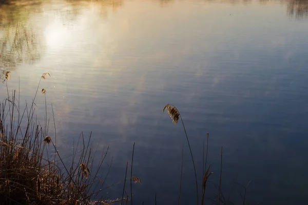 Surface de l'eau de l'étang avec le soleil du matin réfléchi — Photo