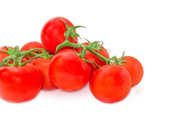 Branches of the ripe red tomatoes closeup at selective focus — Stock Photo, Image