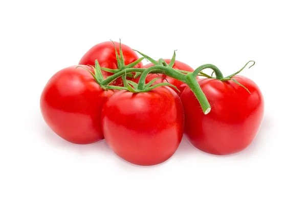 Ramo dos tomates vermelhos sobre um fundo branco — Fotografia de Stock