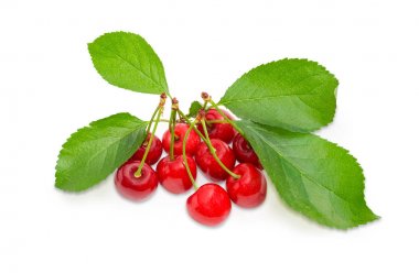 Olgun taze kiraz yaprakları üzerinde beyaz bir arka plan ile