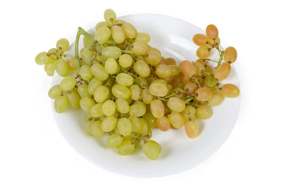Vista superior del racimo de uva sultana en plato blanco — Foto de Stock