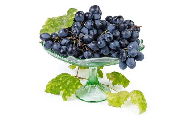 Uvas azules en florero de frutas vintage y rama de vid — Foto de Stock