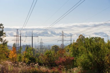 Sonbahar ağaçları ve bitki örtüsünün üstündeki elektrik hatları.