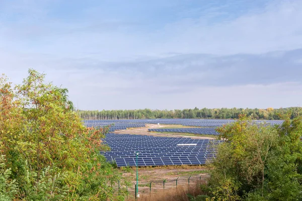 Ground-mounted solar power station among forest in autumn