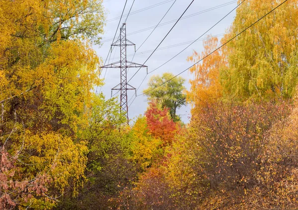 Stahlmast der Freileitung im Herbstwald — Stockfoto