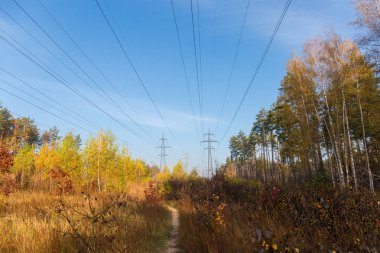 Sonbahar ormanlarının arasındaki elektrik hatları