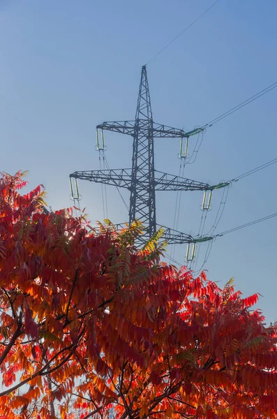 Stahlmast der Stromleitung über Baum mit roten Blättern — Stockfoto