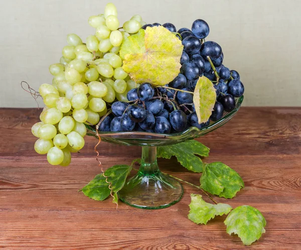 Uva azul, uva Sultana com folhas em vaso de frutas vintage — Fotografia de Stock