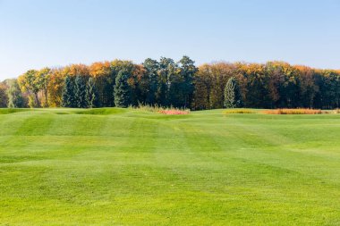 Sonbahar ormanı ve gökyüzüne karşı çimleri biçilmiş büyük bir çim.