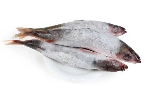 Carcasses of frozen Redbait fish during defrosting on dish — ストック写真