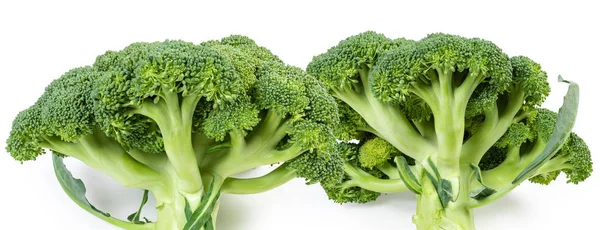 Due broccoli freschi interi su fondo bianco primo piano — Foto Stock