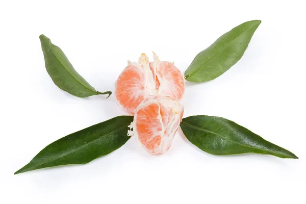 Mandarina pelada dividida en segmentos entre las hojas — Foto de Stock