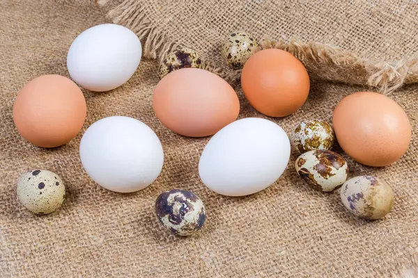 Diferentes huevos de pollo y codorniz sin cocer en el saco — Foto de Stock