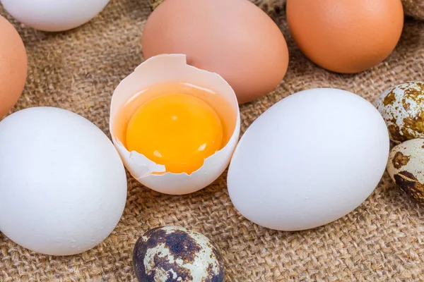 Huevo de gallina roto en cáscara de huevo entre los huevos enteros de cerca —  Fotos de Stock