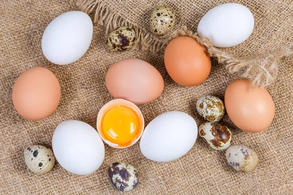 Horní pohled na tepelně neupravené kuřecí a křepelčí vejce na pytlovině — Stock fotografie