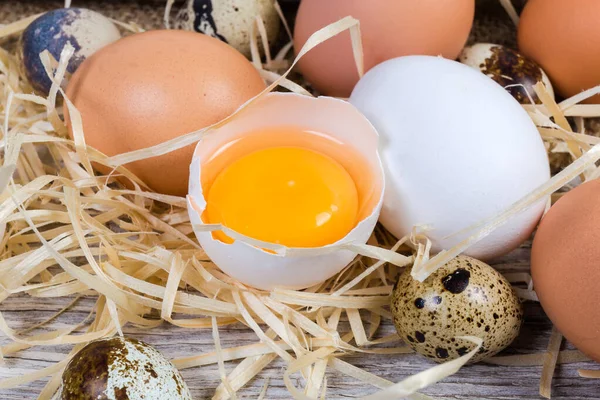 Brutna hönsägg i äggskal bland olika hela ägg närbild — Stockfoto