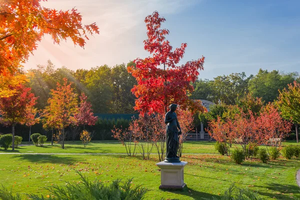 Podzimní park s okrasnými rostlinami a sochami v podsvícení — Stock fotografie
