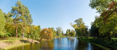 Park kıyılarında ağaçlar olan manzaralı gölet.