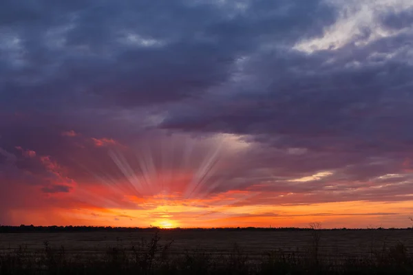 Фон неба з кумульськими хмарами на заході сонця — стокове фото