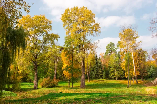 Frammento del parco autunnale con alberi diversi — Foto Stock