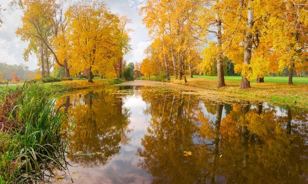 Озеро в осінньому парку зі старими деревами на берегах. — стокове фото