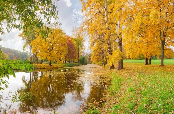 Naturskön sjö i höstpark med träd på stränder — Stockfoto