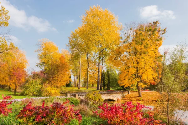 Fragment podzimního parku s různými stromy, most přes kanál — Stock fotografie