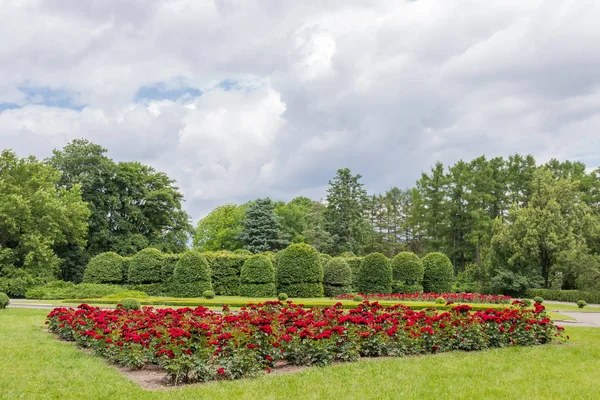 Fragmento de parque con macizo de flores y árboles en forma —  Fotos de Stock