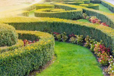 Süslü, boxwood ve çiçekli bahçe yatağı.