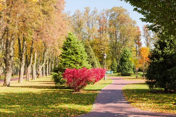Fragment podzimního parku s uličkami, různými stromy a keři — Stock fotografie