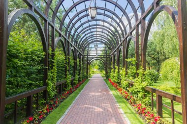 Yaz parkında ahşap kemerli pergola