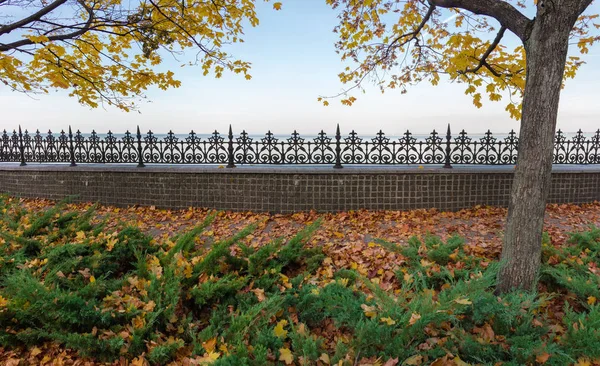 Кам'яний паркан з декоративним металевим верхом в осінньому парку — стокове фото