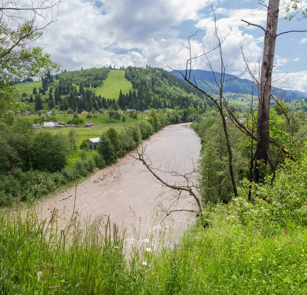 Horská řeka v Karpatech v letním dni — Stock fotografie