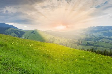 Karpatlar'da vadinin yamaçlarında dağılmış dağ köyü