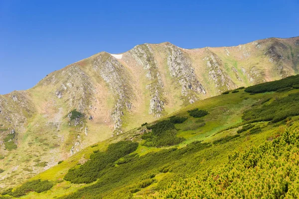 Karpat Dağları 'nda kaya çıkıntıları olan dağ sırtı. — Stok fotoğraf