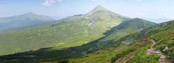 Část Pohoří Chornohora Jedněmi Nejvyšších Vrcholů Petros Hoverla Letním Dni — Stock fotografie