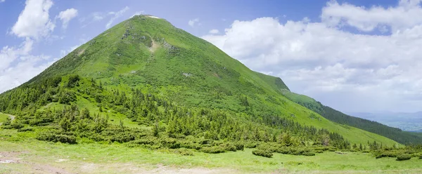 夏にカルパチア山脈の山ペトロス マウント足 ウクライナから東斜面のパノラマビュー — ストック写真
