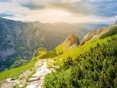 Tatra Dağları 'ndaki kayalar, çimler ve dağ çamı çalıları arasında derin uçurum yamacında kayalarla kaplı dağ izleri.