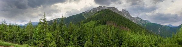 Massif Montagneux Escarpé Avec Forêt Premier Plan Contre Ciel Nuageux — Photo