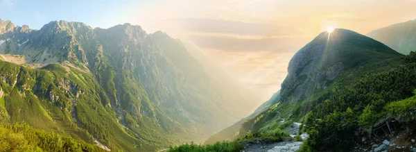 Tiefe Bergschlucht Mit Steilen Felshängen Der Morgensonne Sommer Rundblick Tatra — Stockfoto