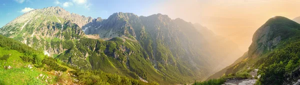 Tiefe Bergschlucht Und Felsiger Gegenüberliegender Hang Morgensonnenlicht Sommer Weites Panorama — Stockfoto