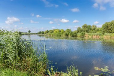 Ağaçlarla, sazlıklarla ve yaz günlerinde sudaki zambaklarla kaplanmış kıyılarıyla manzaralı düz bir göl.