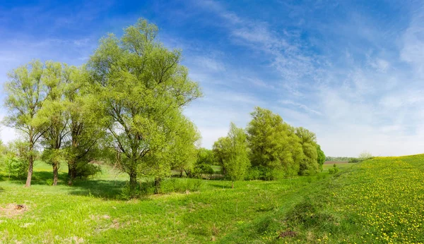 Gamla Pilar Slätten Nära Den Kuperade Grässlätten Igenvuxen Med Gräs — Stockfoto