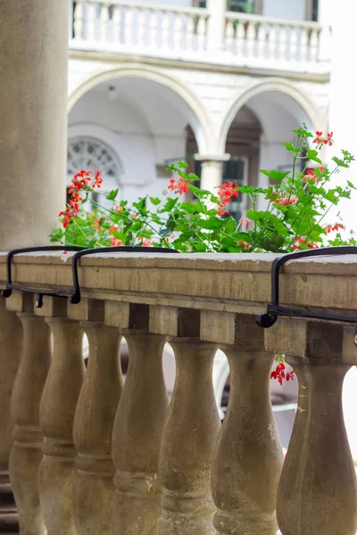 Fragment Der Balustrade Mit Steingeländern Und Blumenschmuck Einer Gewölbten Galerie — Stockfoto